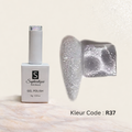Reflective Gel Polish Color R37 - Sophiestique Nails Beauty