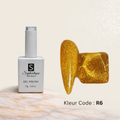 Reflective Gel Polish Color R6 - Sophiestique Nails Beauty